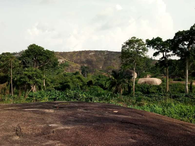 Nigerian rural landscape