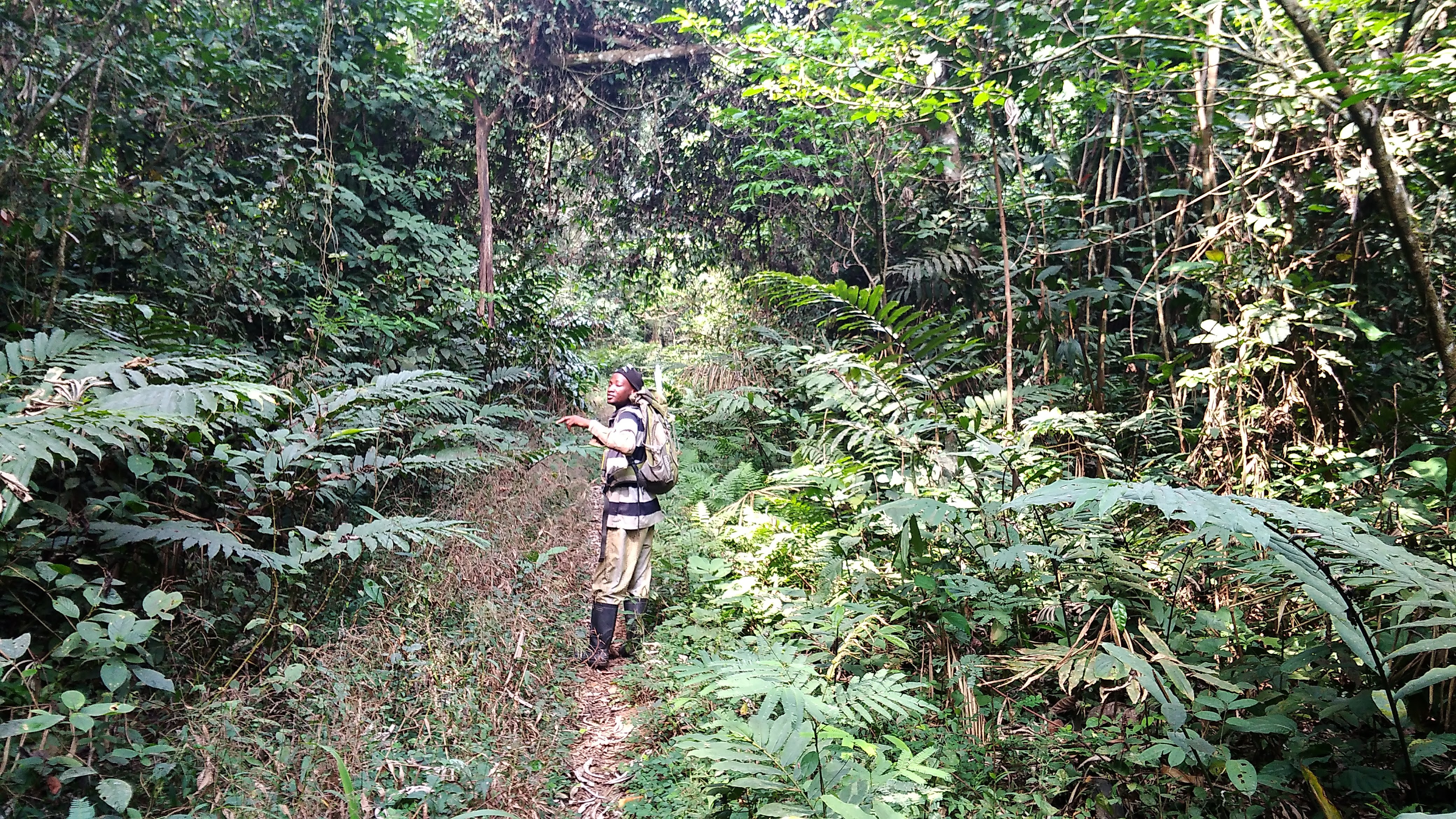Conservation field work
